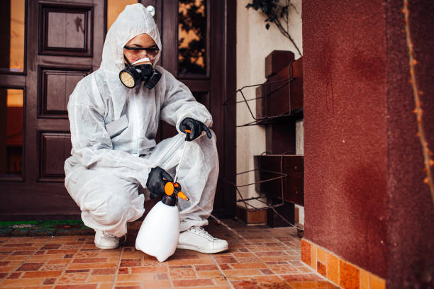 Reliable Wasp Removal contractor in North Eagle Butte, SD by Show Me Pest Control